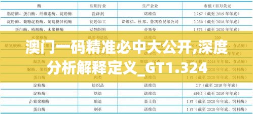 澳门一码精准必中大公开,深度分析解释定义_GT1.324