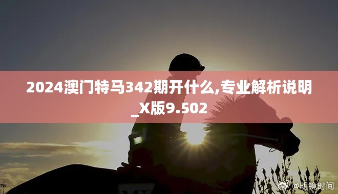 2024澳门特马342期开什么,专业解析说明_X版9.502