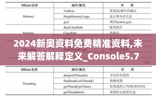 2024新奥资料免费精准资料,未来解答解释定义_Console5.708