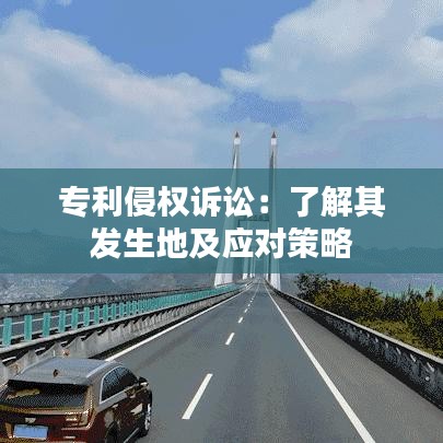 专利侵权诉讼：了解其发生地及应对策略