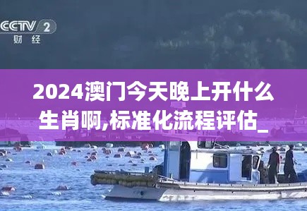 2024澳门今天晚上开什么生肖啊,标准化流程评估_纪念版1.878