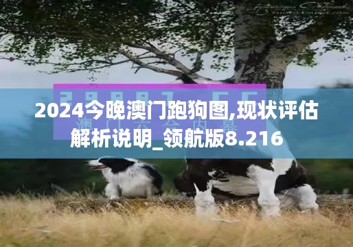 2024今晚澳门跑狗图,现状评估解析说明_领航版8.216