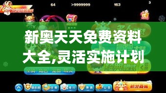 新奥天天免费资料大全,灵活实施计划_终极版6.786