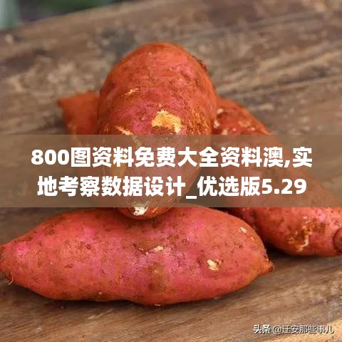 800图资料免费大全资料澳,实地考察数据设计_优选版5.293