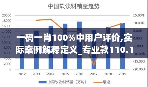 一码一肖100%中用户评价,实际案例解释定义_专业款110.110