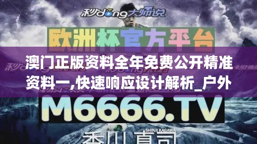 澳门正版资料全年免费公开精准资料一,快速响应设计解析_户外版2.446