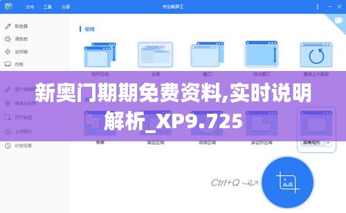 新奥门期期免费资料,实时说明解析_XP9.725