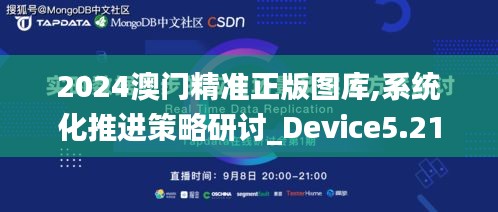 2024澳门精准正版图库,系统化推进策略研讨_Device5.217