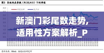 新澳门彩尾数走势,适用性方案解析_Prime9.954