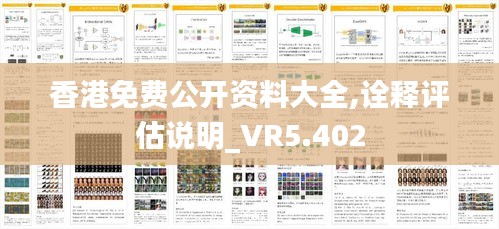 香港免费公开资料大全,诠释评估说明_VR5.402