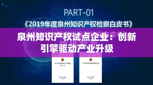 泉州知识产权试点企业：创新引擎驱动产业升级