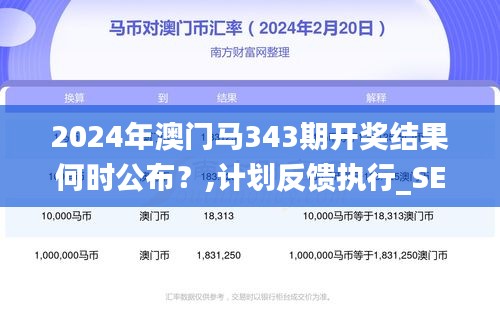 2024年澳门马343期开奖结果何时公布？,计划反馈执行_SE版7.117