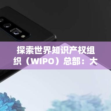 探索世界知识产权组织（WIPO）总部：大会举办与知识产权保护