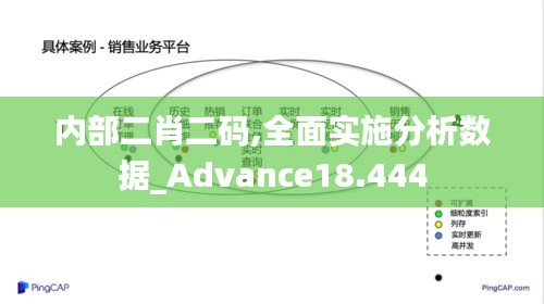 内部二肖二码,全面实施分析数据_Advance18.444