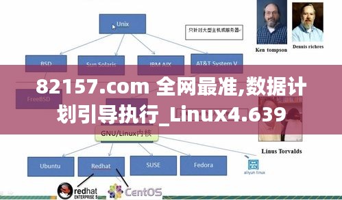 82157.com 全网最准,数据计划引导执行_Linux4.639