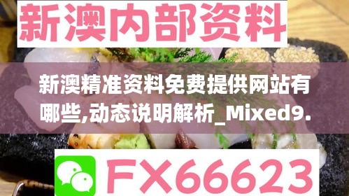 新澳精准资料免费提供网站有哪些,动态说明解析_Mixed9.677