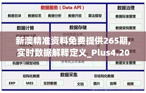 新澳精准资料免费提供265期,实时数据解释定义_Plus4.203