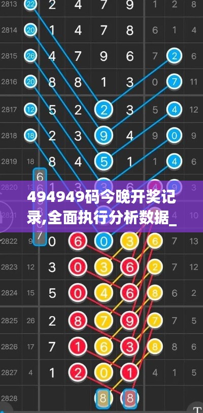 494949码今晚开奖记录,全面执行分析数据_特别款6.917