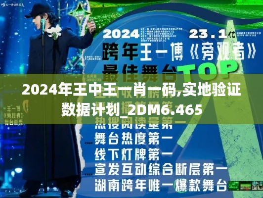 2024年王中王一肖一码,实地验证数据计划_2DM6.465