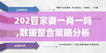 202管家婆一肖一吗,数据整合策略分析_户外版5.605