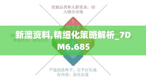 新澳资料,精细化策略解析_7DM6.685