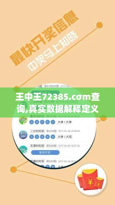 王中王72385.cσm查询,真实数据解释定义_社交版5.157