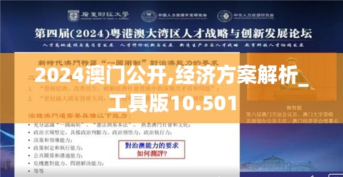 2024澳门公开,经济方案解析_工具版10.501