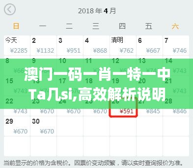 澳门一码一肖一特一中Ta几si,高效解析说明_yShop4.904