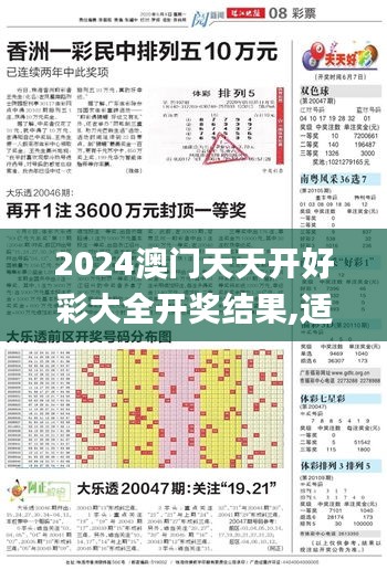 2024澳门天天开好彩大全开奖结果,适用性计划实施_D版5.392