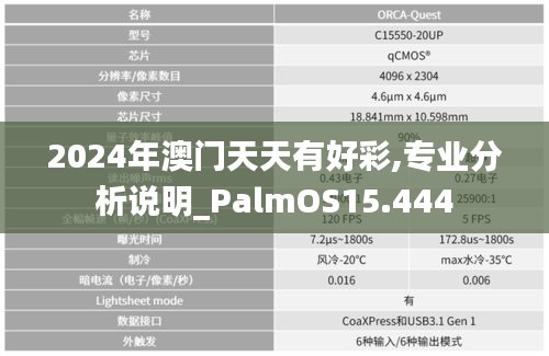 2024年澳门天天有好彩,专业分析说明_PalmOS15.444