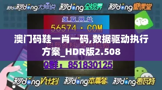 澳门码鞋一肖一码,数据驱动执行方案_HDR版2.508