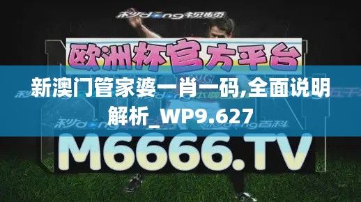 新澳门管家婆一肖一码,全面说明解析_WP9.627