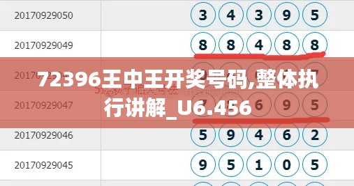 72396王中王开奖号码,整体执行讲解_U6.456