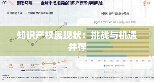 知识产权展现状：挑战与机遇并存