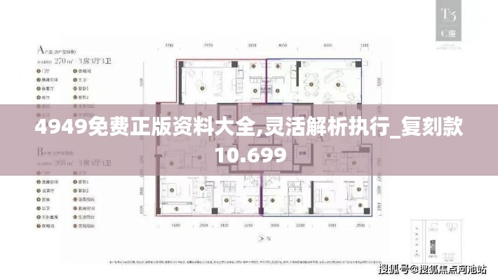 4949免费正版资料大全,灵活解析执行_复刻款10.699