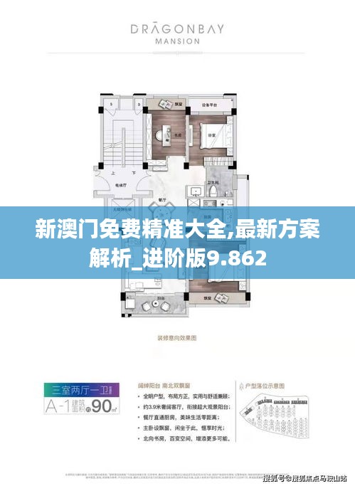 新澳门免费精准大全,最新方案解析_进阶版9.862