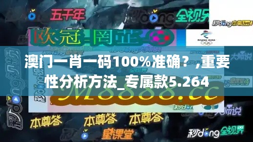 澳门一肖一码100%准确？,重要性分析方法_专属款5.264