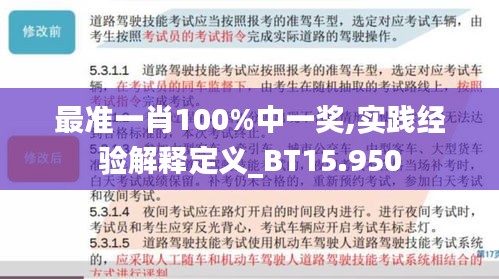 最准一肖100%中一奖,实践经验解释定义_BT15.950