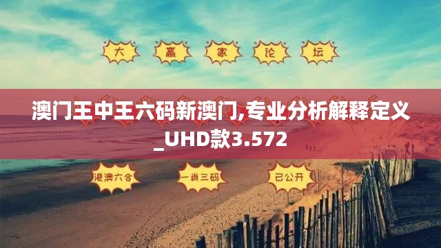 澳门王中王六码新澳门,专业分析解释定义_UHD款3.572