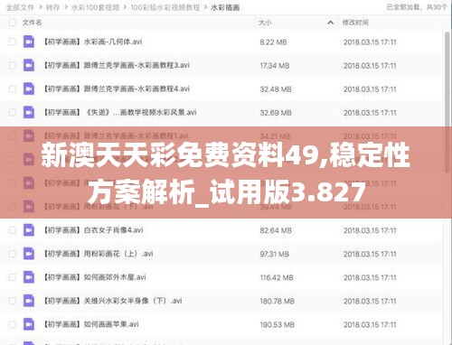 新澳天天彩免费资料49,稳定性方案解析_试用版3.827