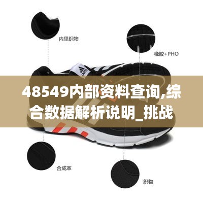 48549内部资料查询,综合数据解析说明_挑战款2.190