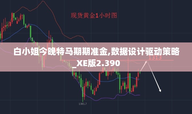 白小姐今晚特马期期准金,数据设计驱动策略_XE版2.390