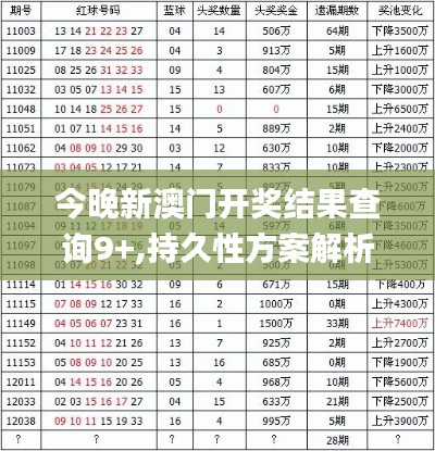 今晚新澳门开奖结果查询9+,持久性方案解析_储蓄版3.376