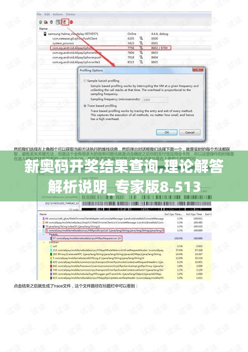 新奥码开奖结果查询,理论解答解析说明_专家版8.513