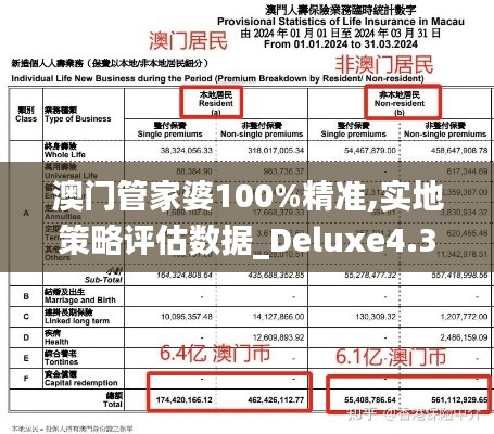 澳门管家婆100%精准,实地策略评估数据_Deluxe4.367