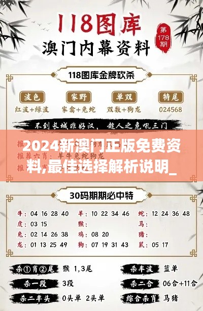 2024新澳门正版免费资料,最佳选择解析说明_模拟版9.443