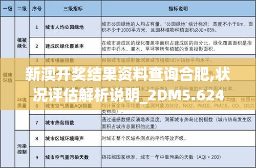 新澳开奖结果资料查询合肥,状况评估解析说明_2DM5.624