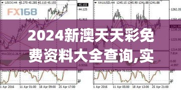 2024新澳天天彩免费资料大全查询,实地评估策略数据_模拟版5.340