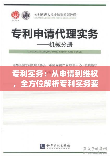 专利实务：从申请到维权，全方位解析专利实务要点