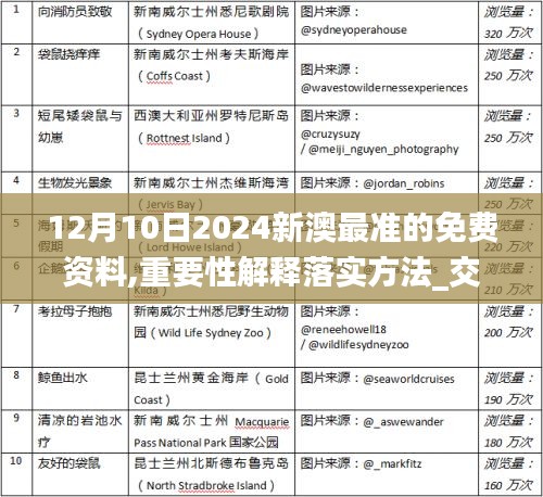 12月10日2024新澳最准的免费资料,重要性解释落实方法_交互版7.817